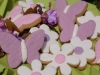 biscotti fiori e farfalle  decorated cookies