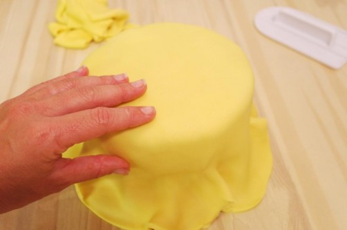 rivestimento torta con pdz (4)